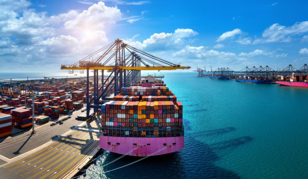 Stalwart Logistics Sea Freight Solutions